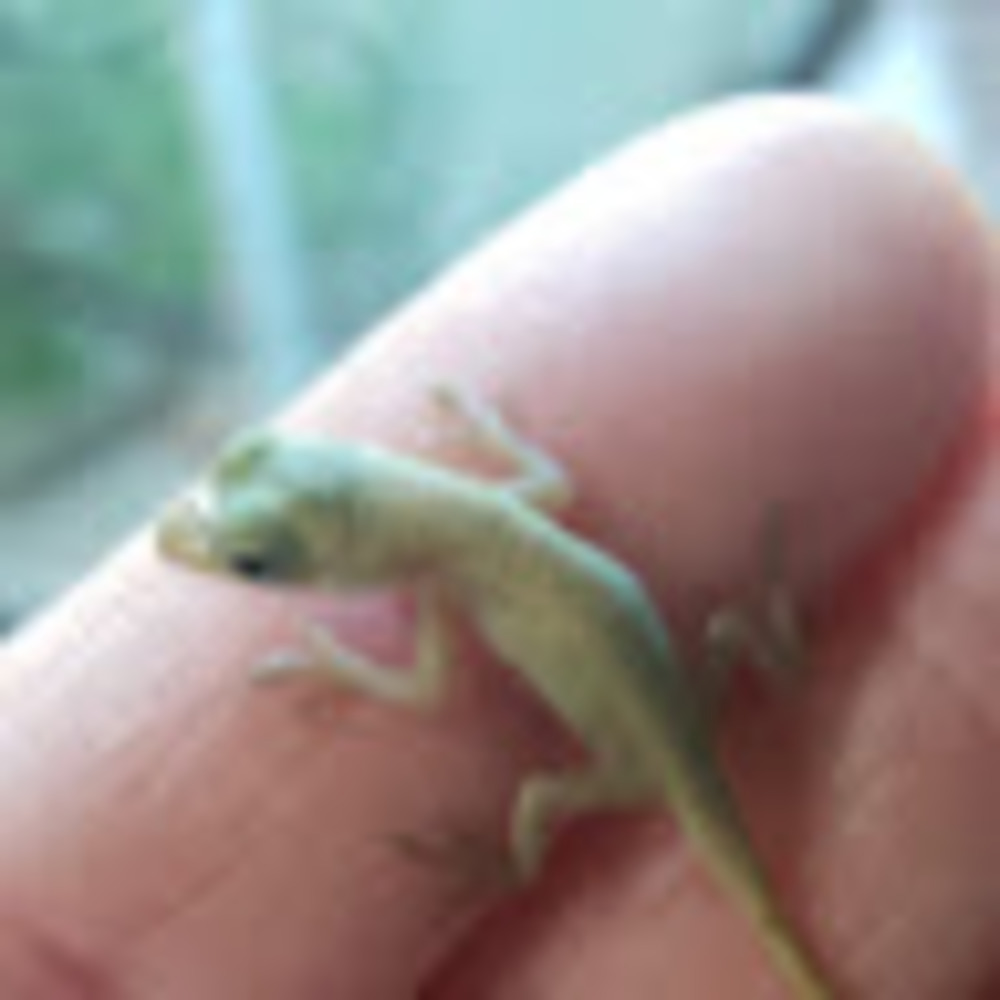 Meet your Posher, Joanna